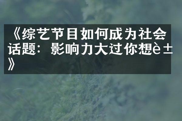 《综艺节目如何成为社会话题：影响力大过你想象》