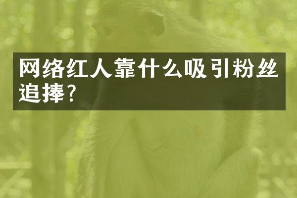 网络红人靠什么吸引粉丝追捧？