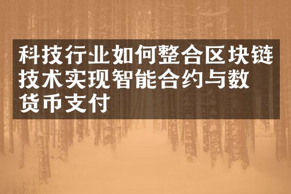 科技行业如何整合区块链技术实现智能合约与数字货币支付