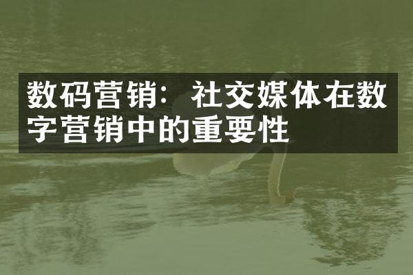 数码营销：社交媒体在数字营销中的重要性