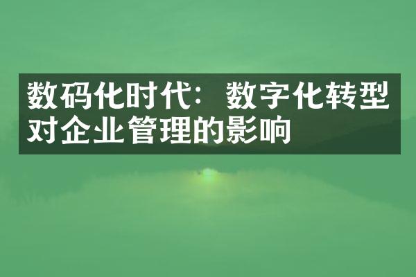 数码化时代：数字化转型对企业管理的影响