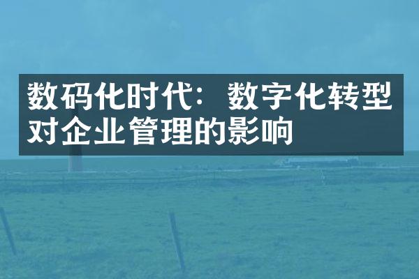 数码化时代：数字化转型对企业管理的影响