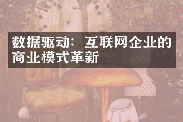 数据驱动：互联网企业的商业模式革新