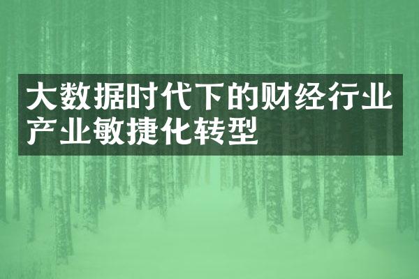 大数据时代下的财经行业产业敏捷化转型