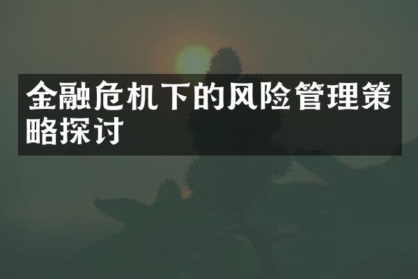 金融危机下的风险管理策略探讨