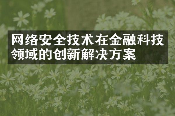 网络安全技术在金融科技领域的创新解决方案