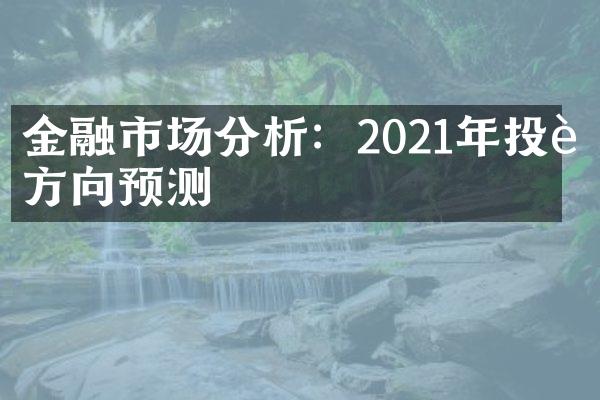 金融市场分析：2021年投资方向预测