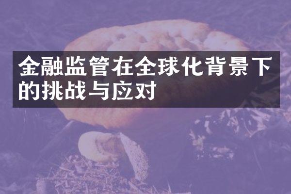 金融监管在全球化背景下的挑战与应对