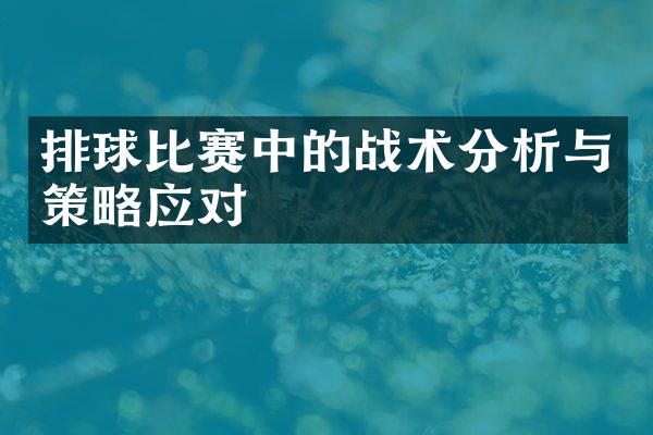 排球比赛中的战术分析与策略应对