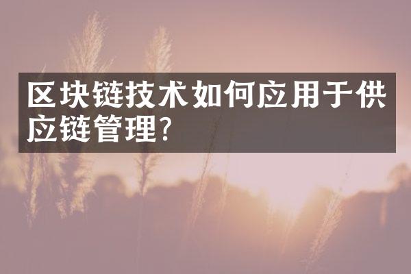 区块链技术如何应用于供应链管理？