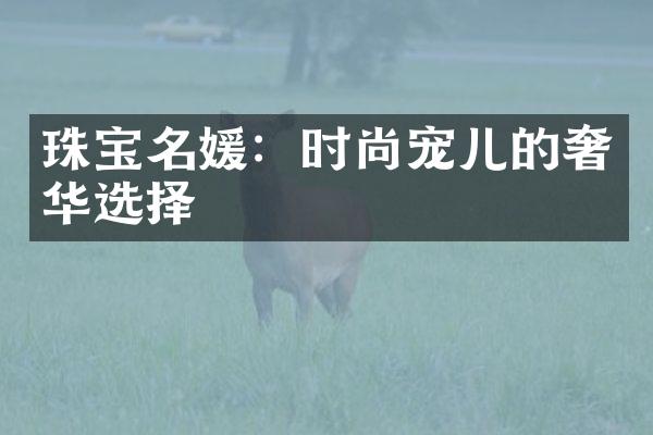 珠宝名媛：时尚宠儿的奢华选择