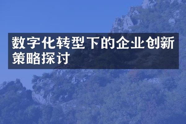 数字化转型下的企业创新策略探讨