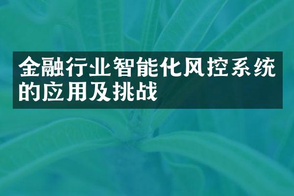 金融行业智能化风控系统的应用及挑战