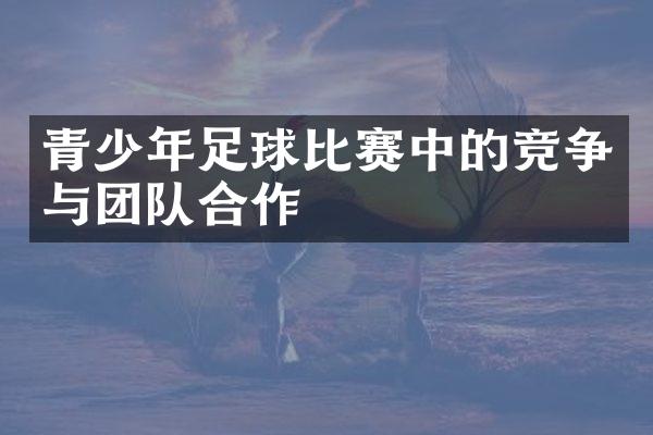 青少年足球比赛中的竞争与团队合作