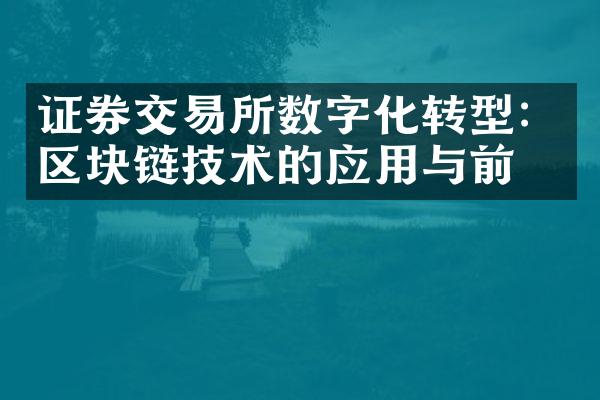 证券交易所数字化转型：区块链技术的应用与前景