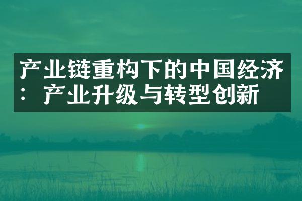 产业链重构下的中国经济：产业升级与转型创新