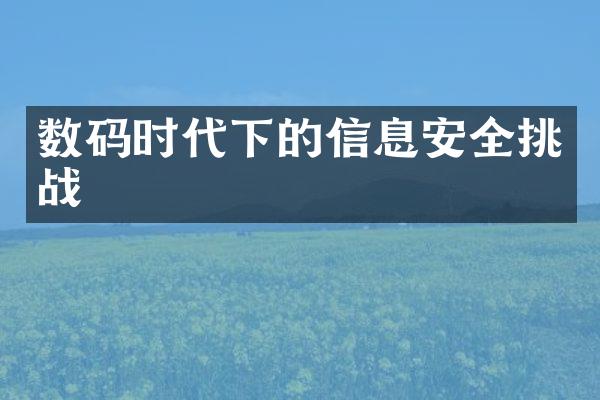 数码时代下的信息安全挑战