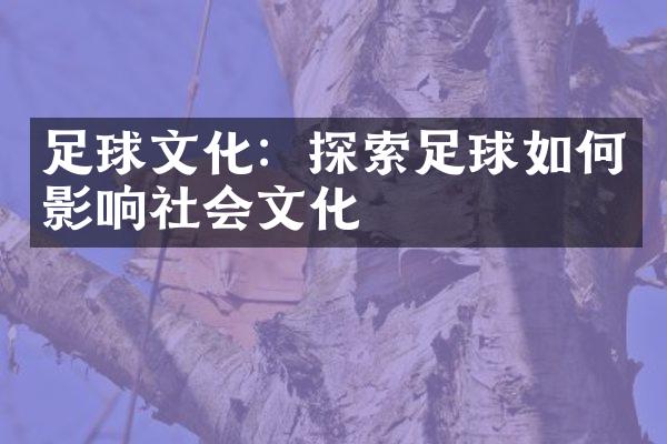 足球文化：探索足球如何影响社会文化