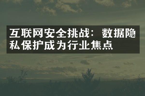 互联网安全挑战：数据隐私保护成为行业焦点