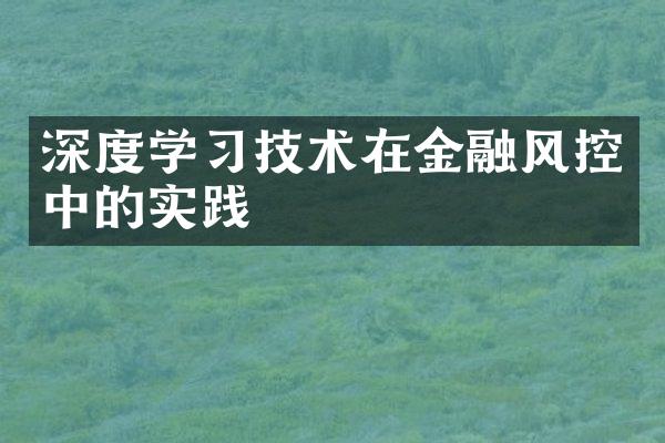 深度学习技术在金融风控中的实践