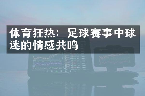 体育狂热：足球赛事中球迷的情感共鸣