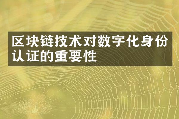 区块链技术对数字化身份认证的重要性