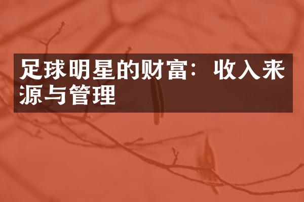 足球明星的财富：收入来源与管理