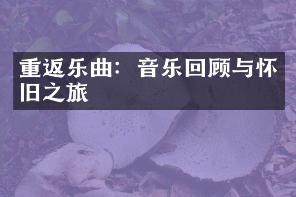 重返乐曲：音乐回顾与怀旧之旅