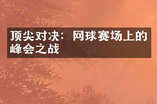 顶尖对决：网球赛场上的峰会之战