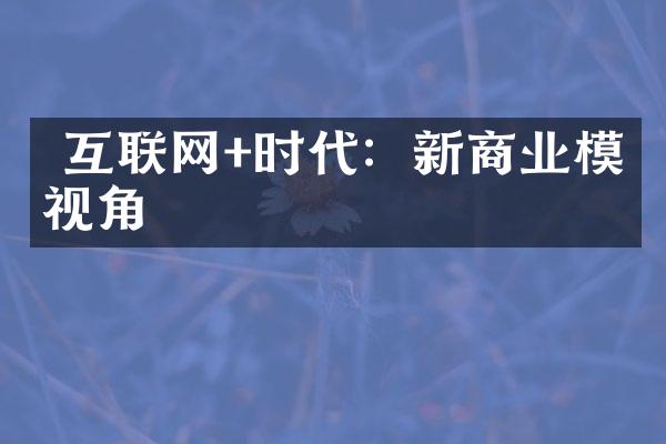  互联网+时代：新商业模式视角