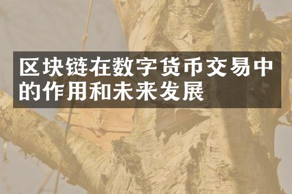 区块链在数字货币交易中的作用和未来发展