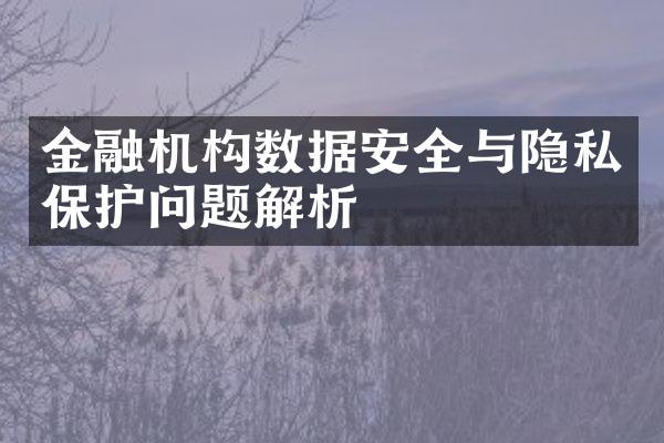 金融机构数据安全与隐私保护问题解析