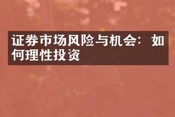 证券市场风险与机会：如何理性投资