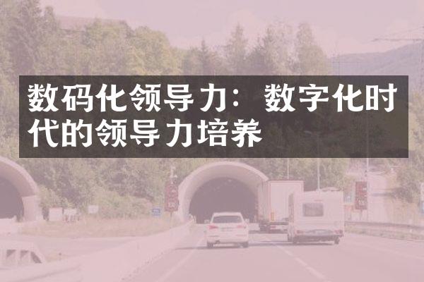 数码化领导力：数字化时代的领导力培养