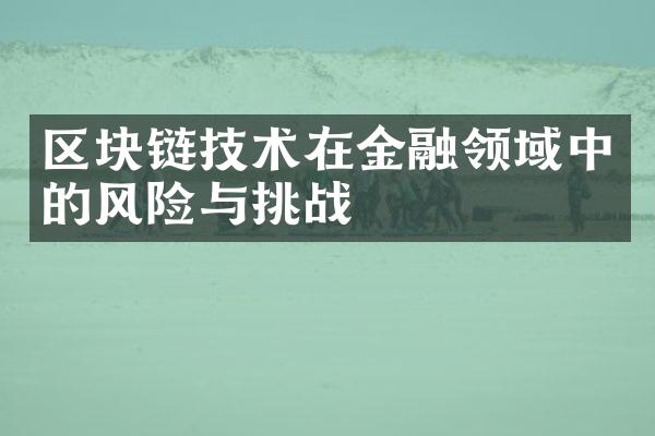 区块链技术在金融领域中的风险与挑战