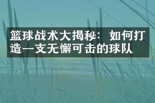 篮球战术大揭秘：如何打造一支无懈可击的球队