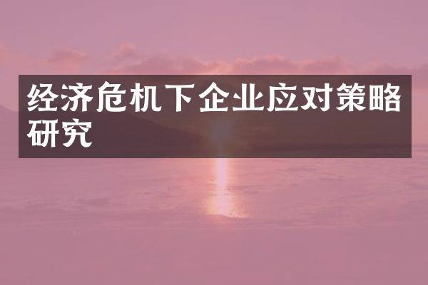 经济危机下企业应对策略研究