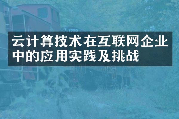 云计算技术在互联网企业中的应用实践及挑战