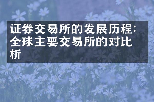 证券交易所的发展历程：全球主要交易所的对比分析