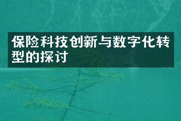 保险科技创新与数字化转型的探讨