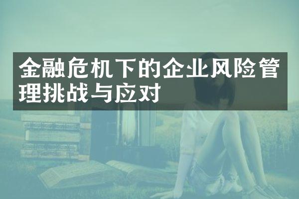 金融危机下的企业风险管理挑战与应对