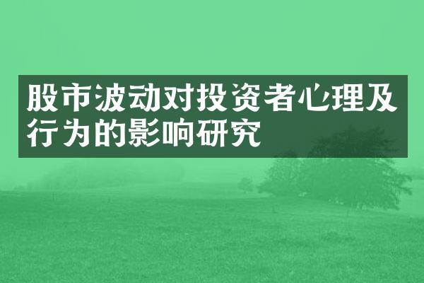 股市波动对投资者心理及行为的影响研究