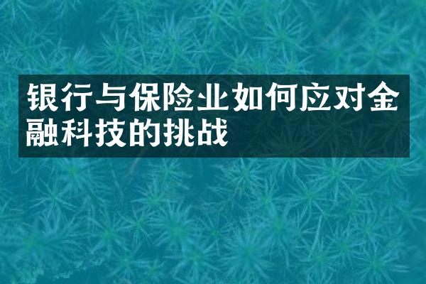 银行与保险业如何应对金融科技的挑战