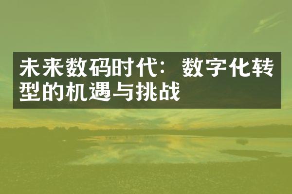 未来数码时代：数字化转型的机遇与挑战