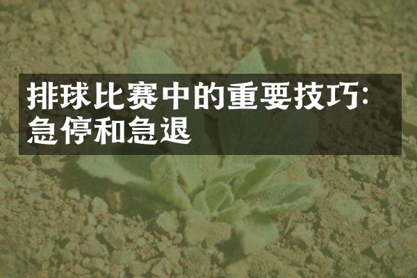 排球比赛中的重要技巧：急停和急退