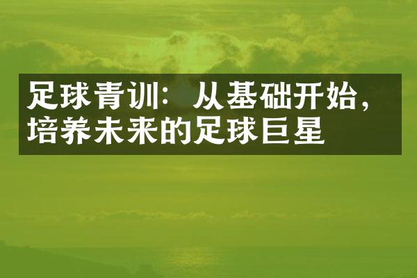 足球青训：从基础开始，培养未来的足球巨星