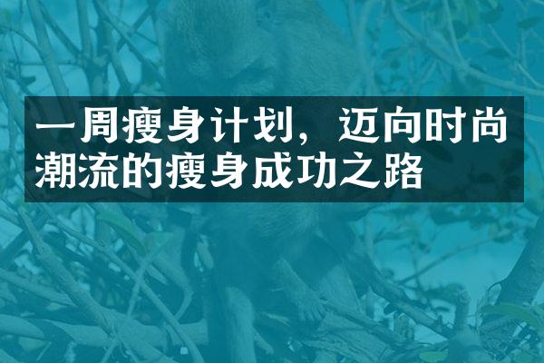 一周瘦身计划，迈向时尚潮流的瘦身成功之路