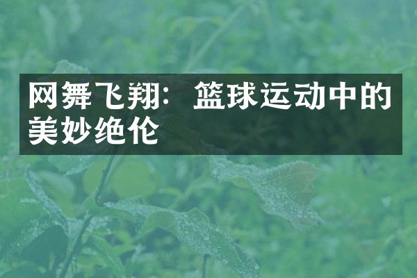 网舞飞翔：篮球运动中的美妙绝伦