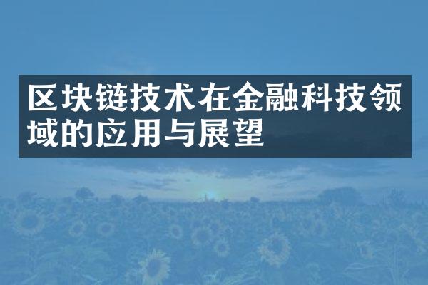 区块链技术在金融科技领域的应用与展望