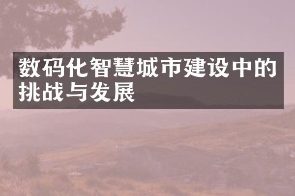 数码化智慧城市建设中的挑战与发展